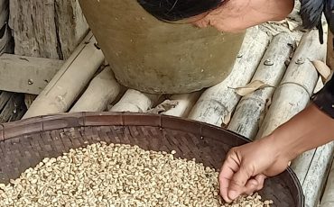 CoffeeLoLo